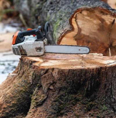 Tree Fellar Tree Felling | Professional 24/7 Tree Feller Experts | Tree Wise