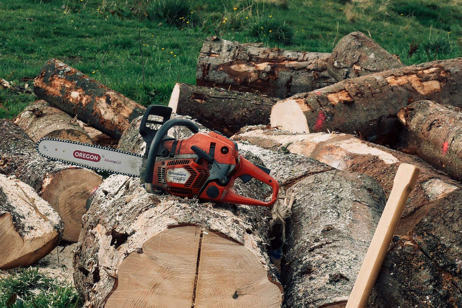 What Is the Average Cost For Tree Felling Services In Johannesburg