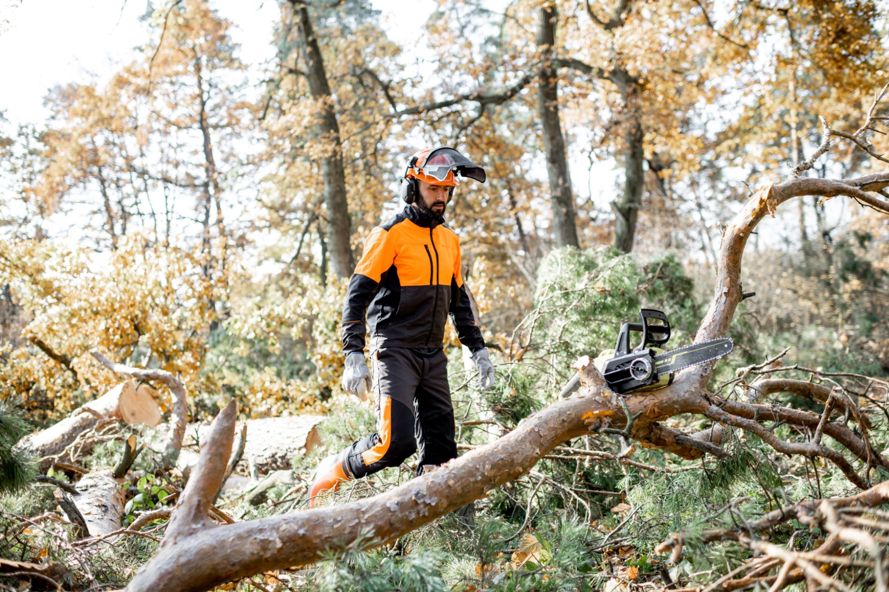 best tree felling companies Benoni