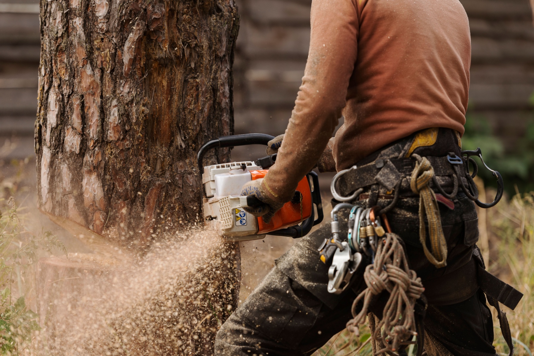 top tree felling companies