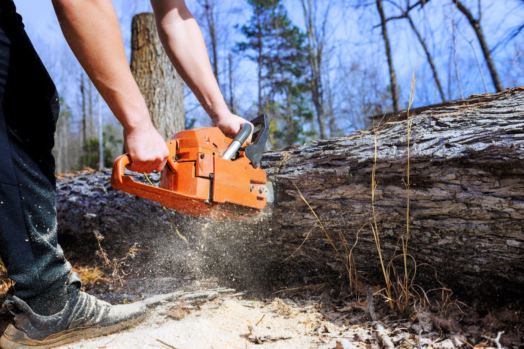 tree felling companies Benoni
