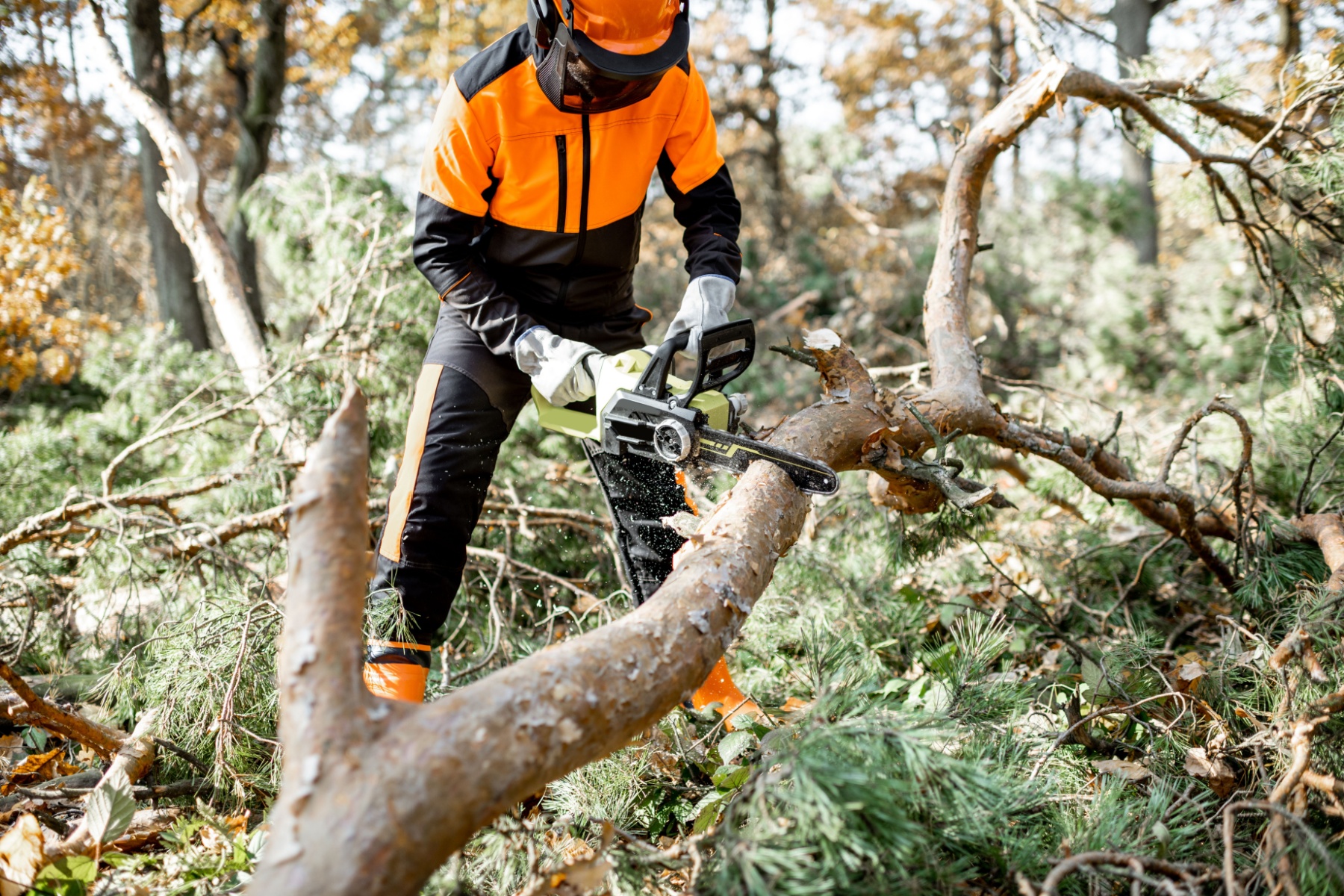 tree felling companies Boksburg Prices