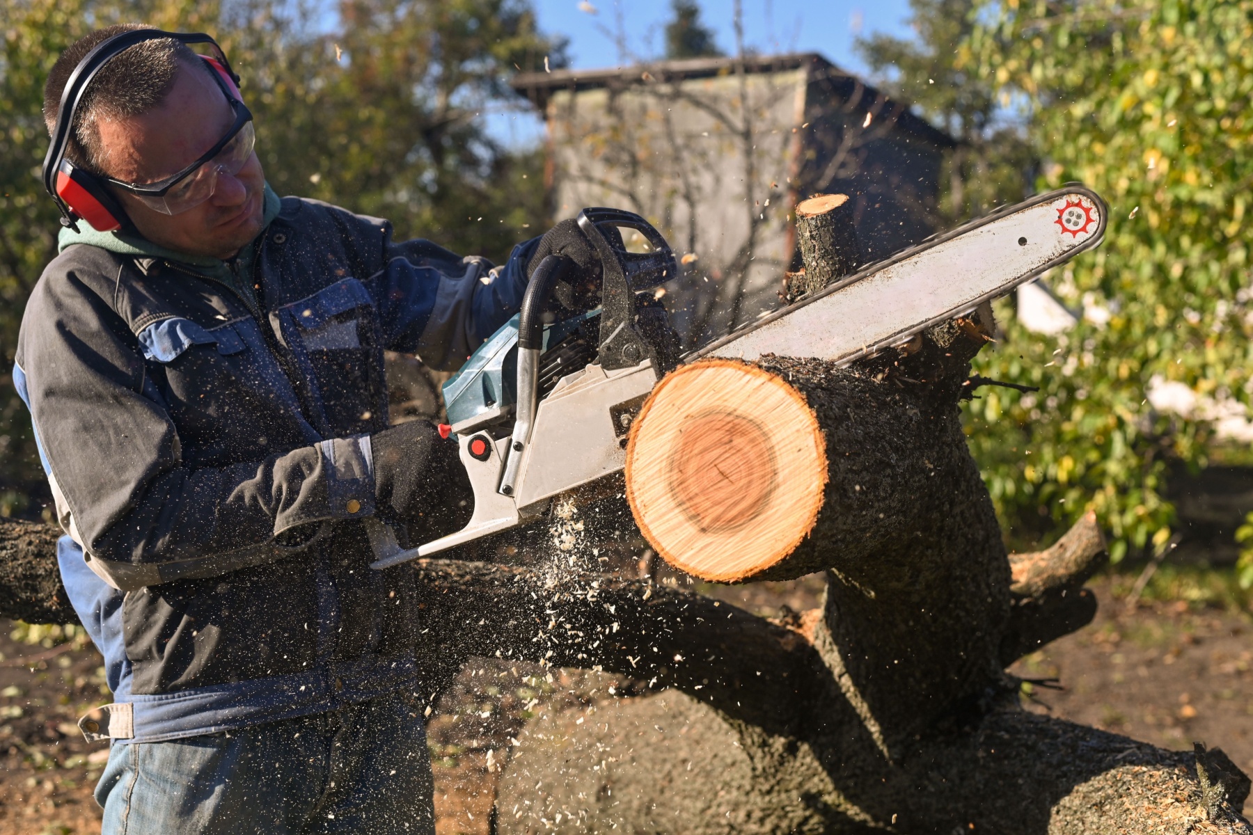 tree felling companies in Sandton